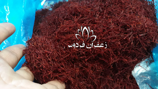 قیمت زعفران قائنات در تهران سال جدید