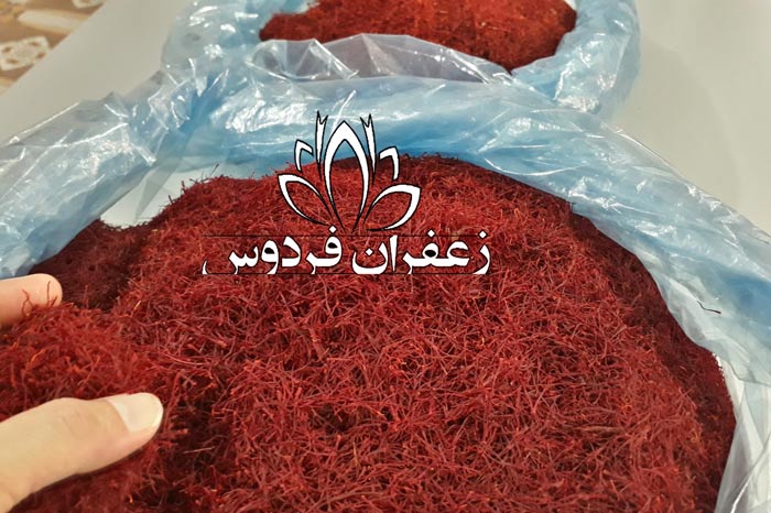 قیمت زعفران قائنات در مشهد