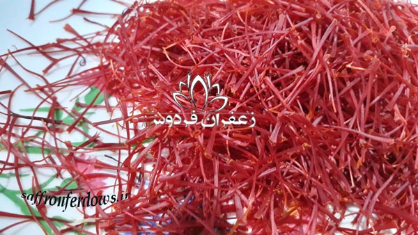 خرید زعفران تربت حیدریه امسالی
