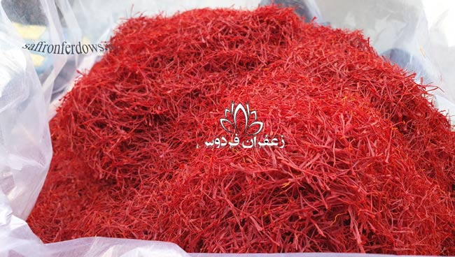 sell bulk saffron export body 6